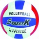 Custom logo printed rubber volley ball VB-006