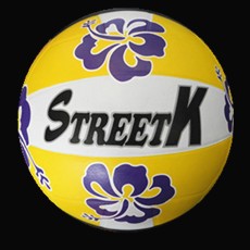 Customized design Size 5 rubber volleyball VB-013