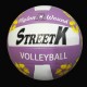 Nice printing rubber volleyball VB-011